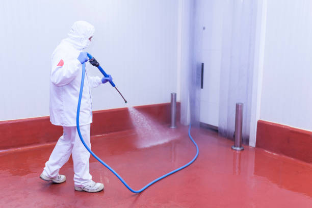 Trusted Lexington, SC Pressure Washing Services Experts